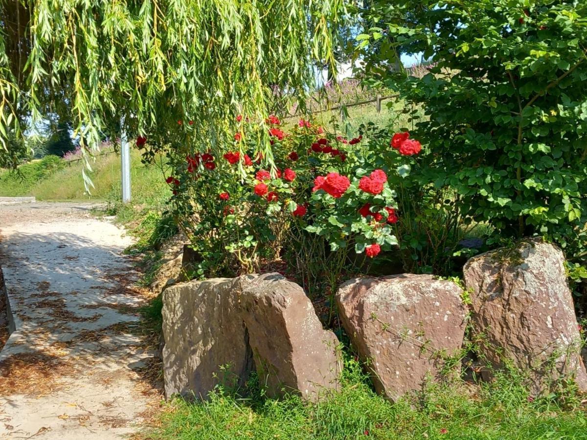 A La Memoire De Merlin & Spa Saint-Malon-sur-Mel Экстерьер фото